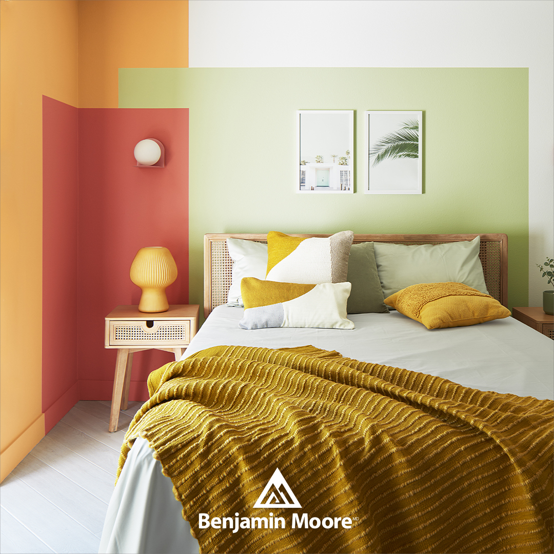 Where Color Comes to Life